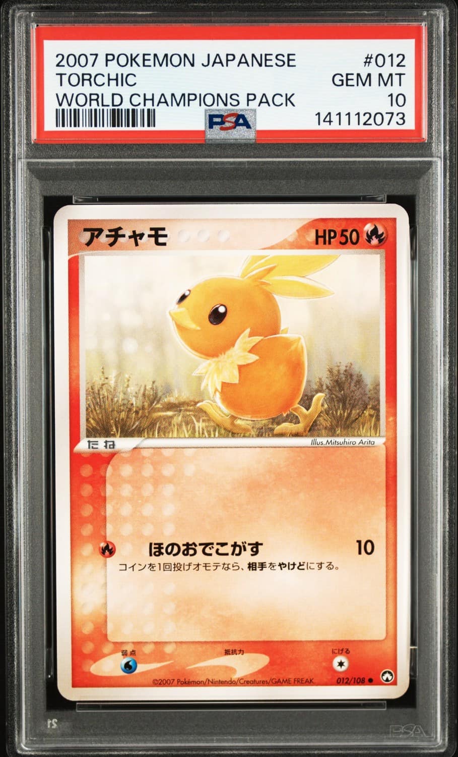 Torchic