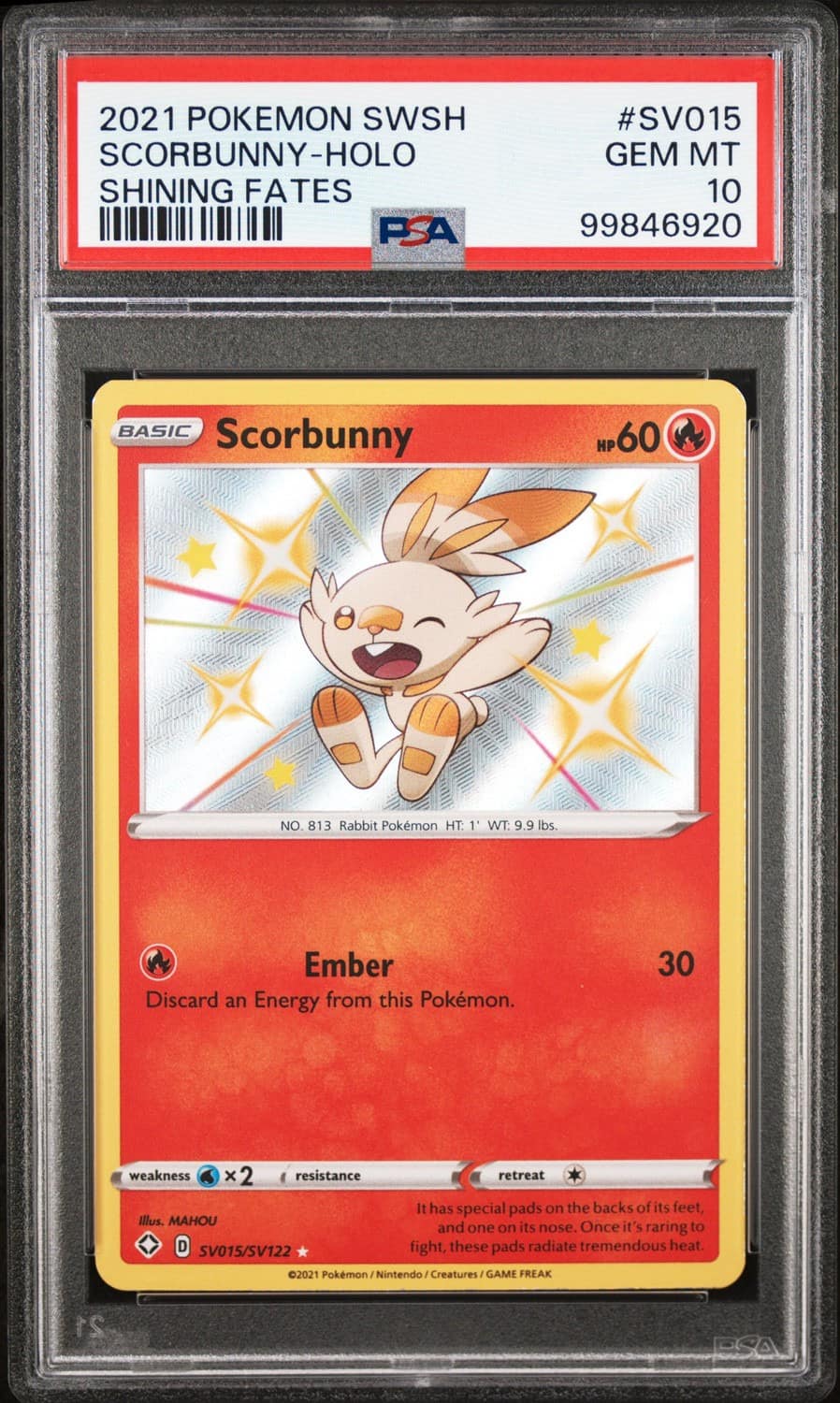 Scorbunny