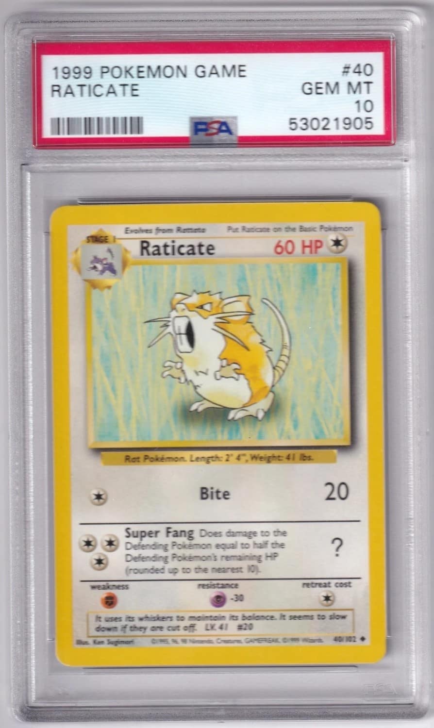 Raticate