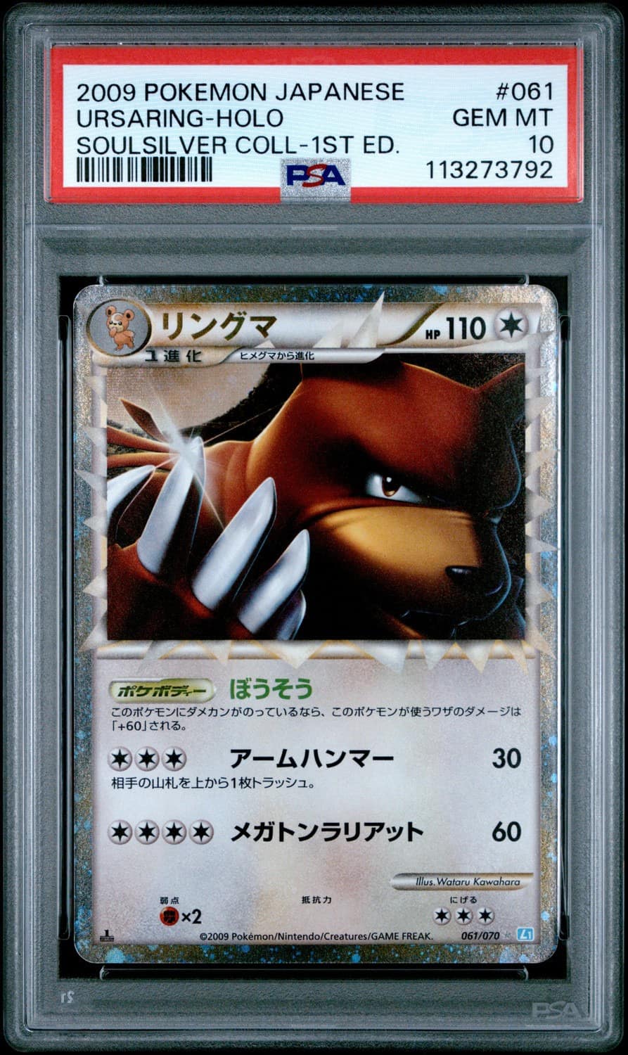 Ursaring