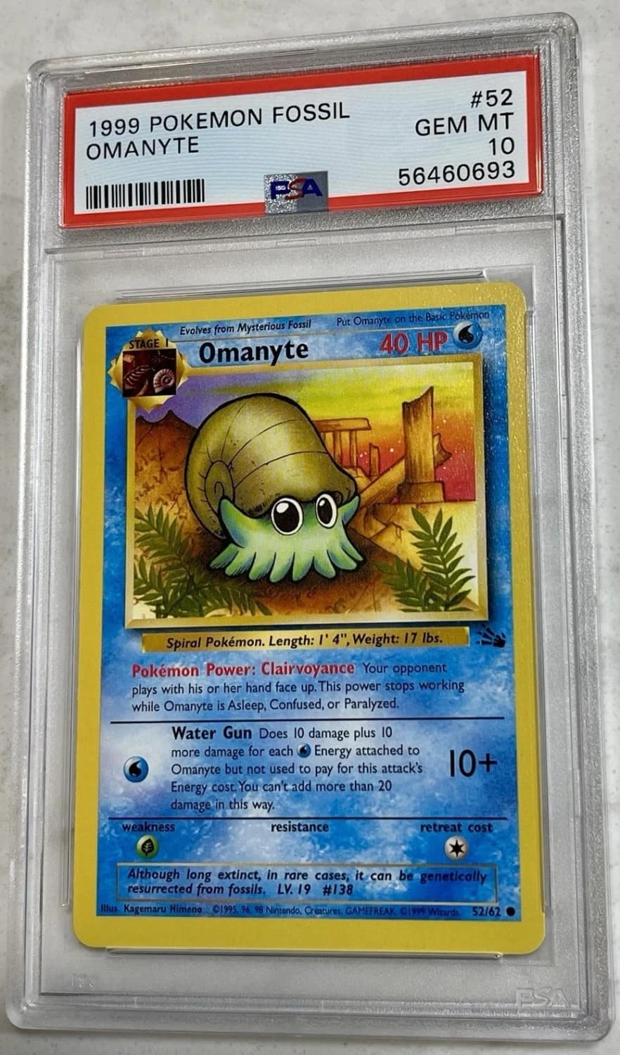 Omanyte