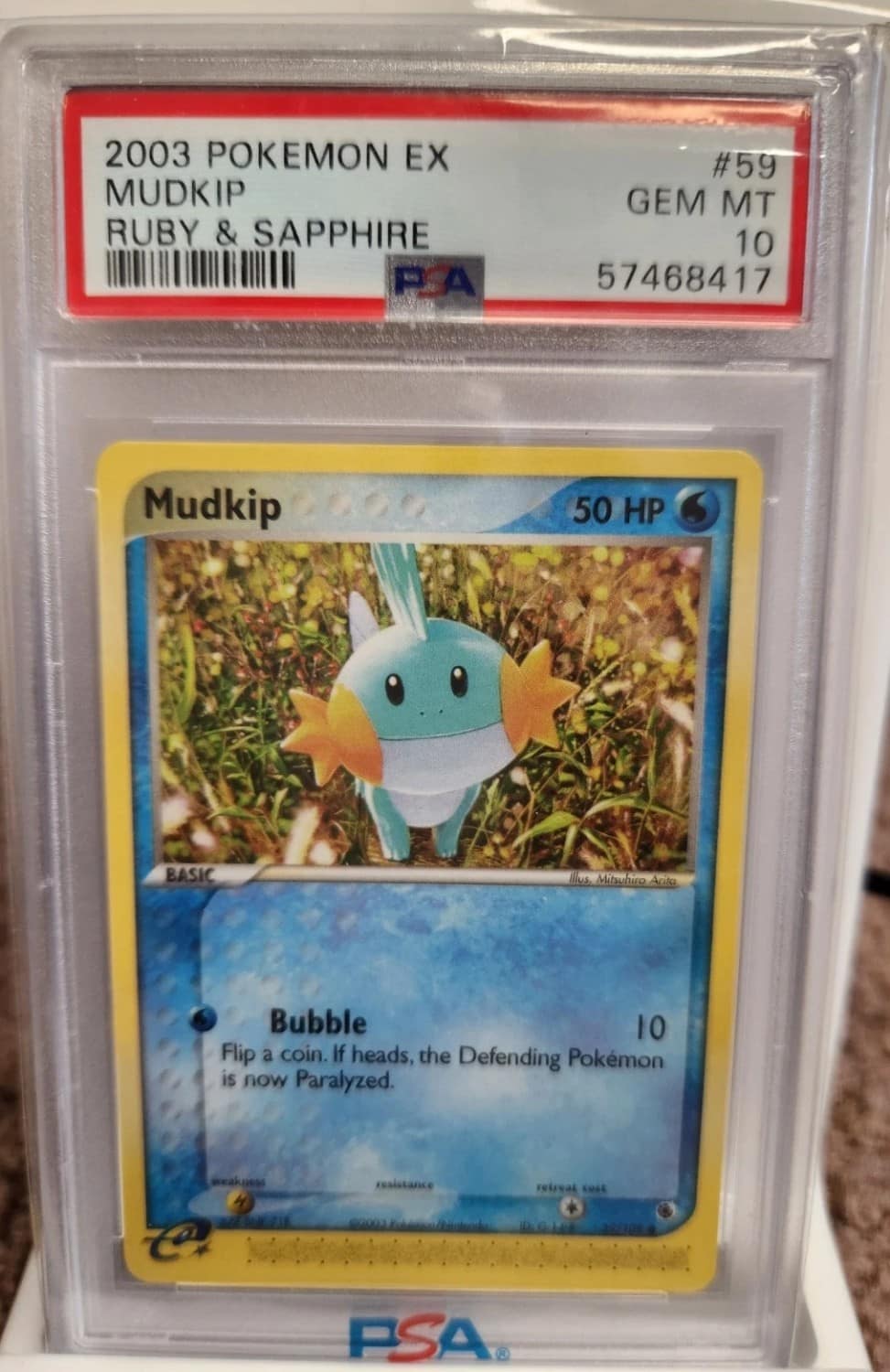 Mudkip