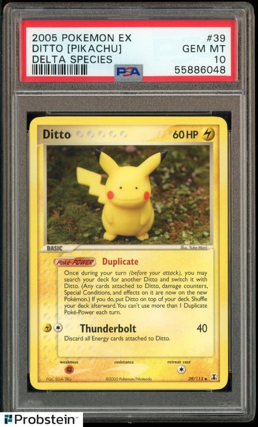 Ditto