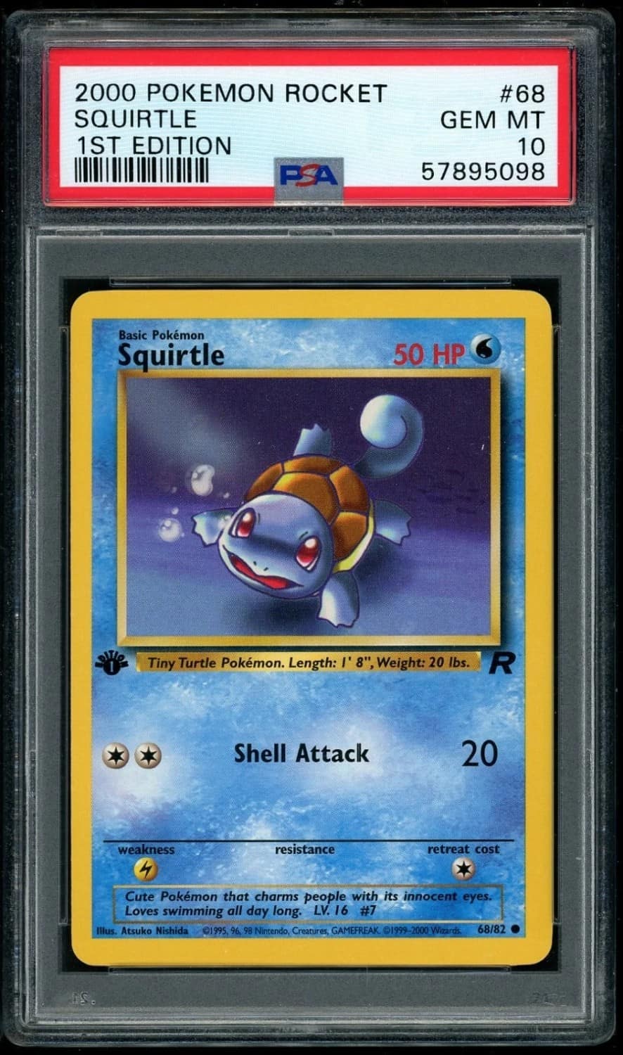 Squirtle