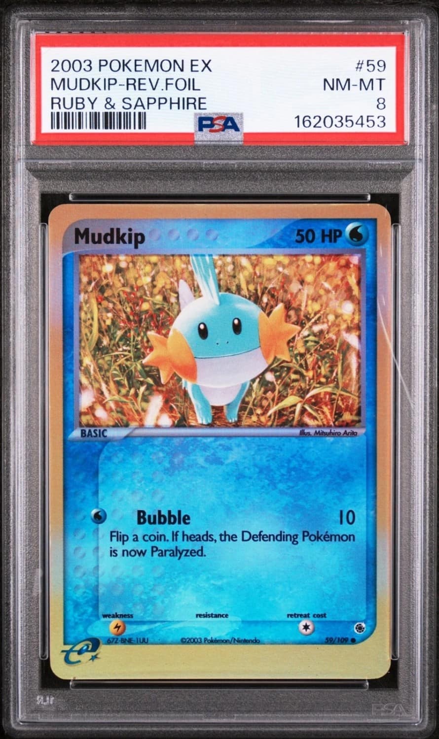 Mudkip