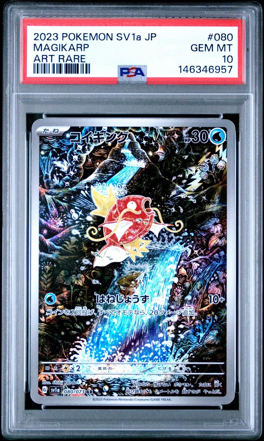 Magikarp