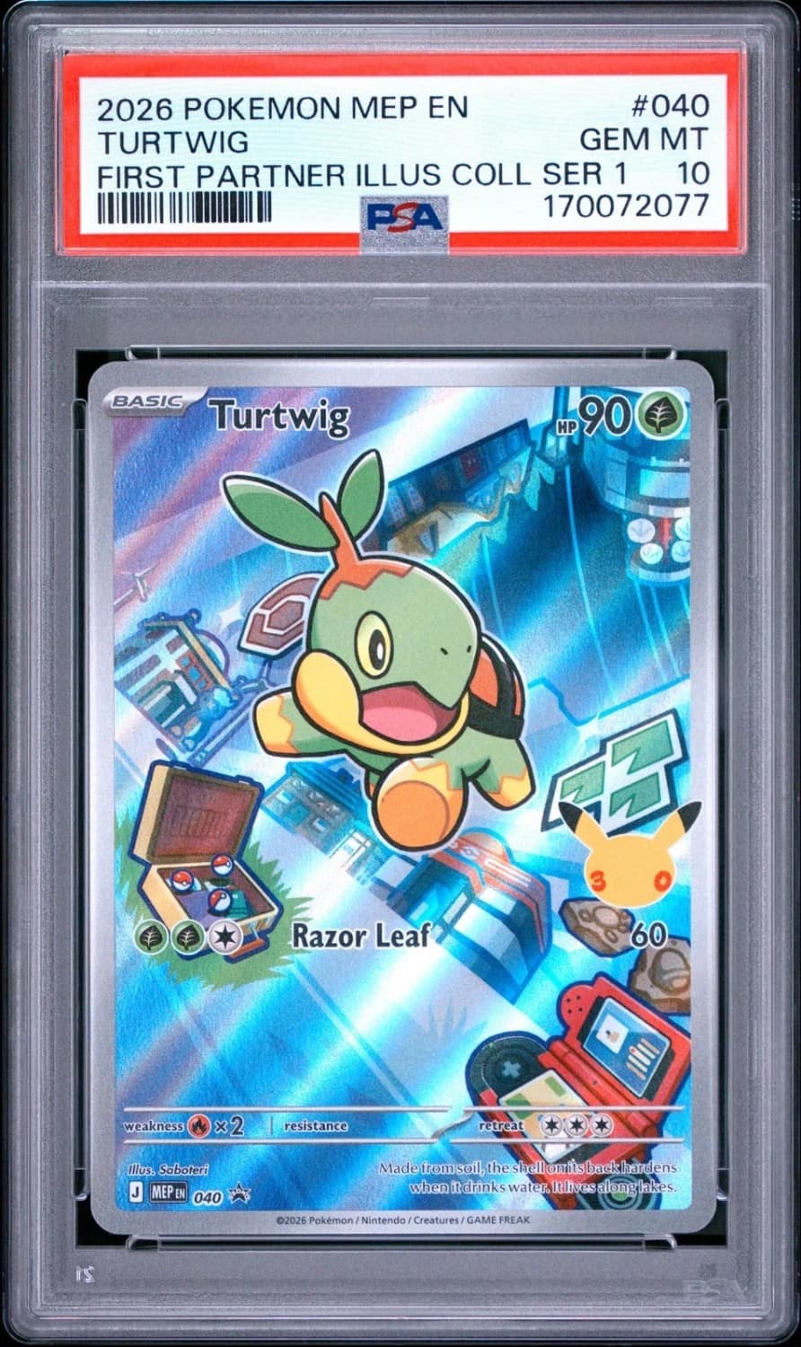 Turtwig