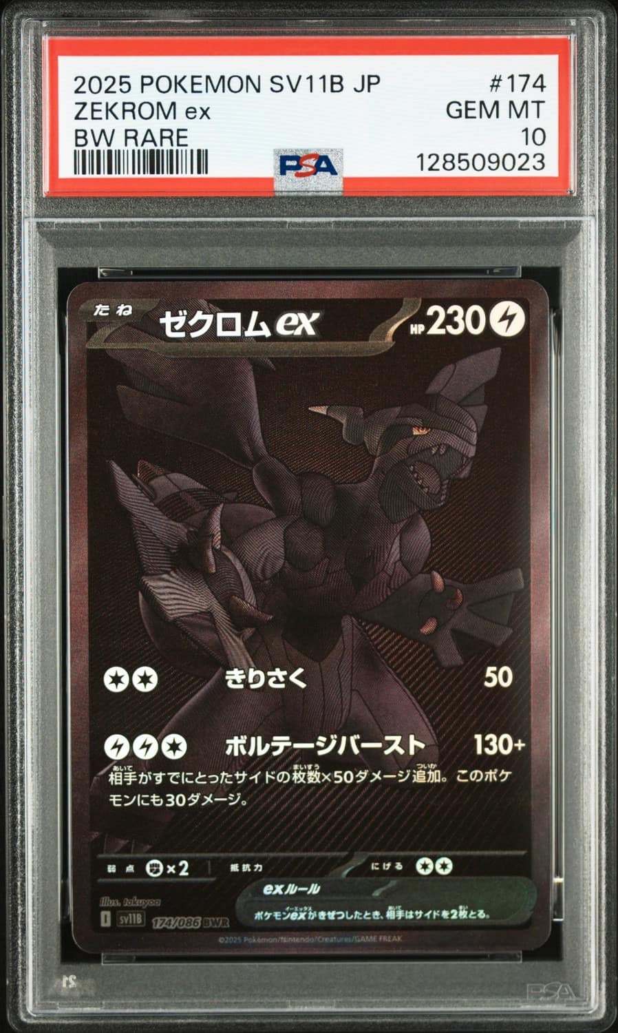 Zekrom Ex