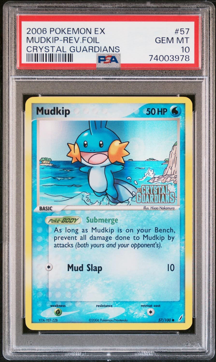 Mudkip
