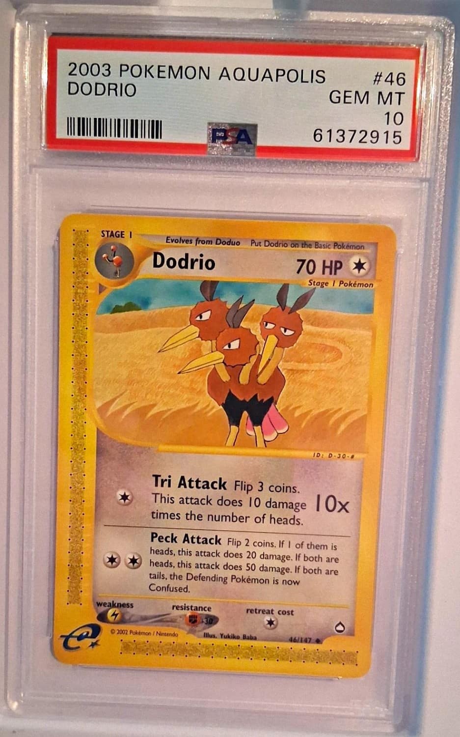 Dodrio