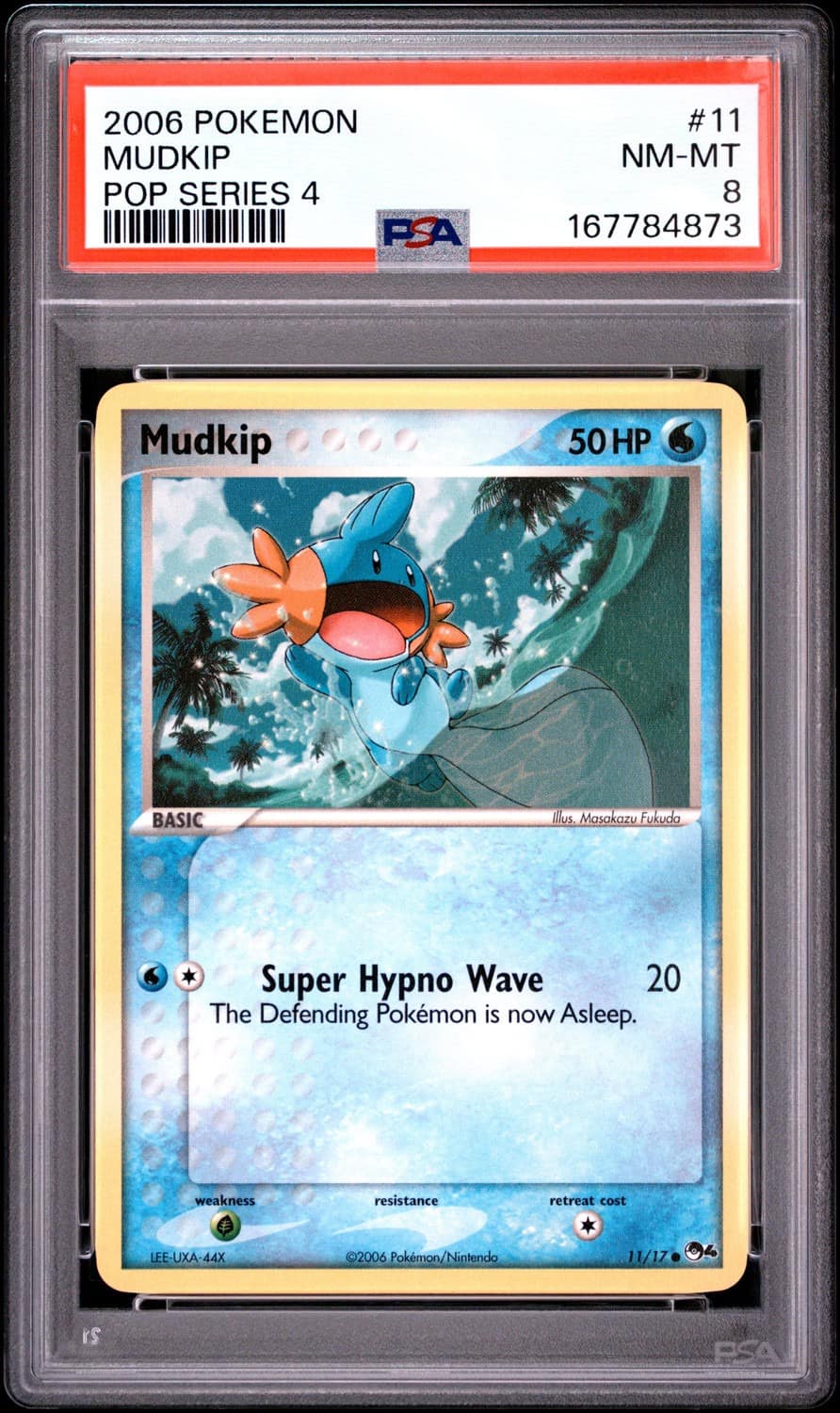 Mudkip