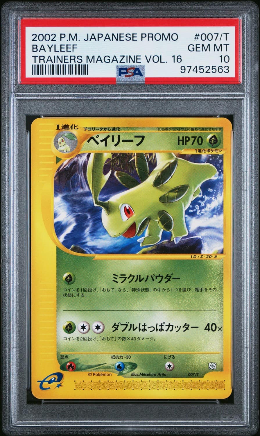 Bayleef