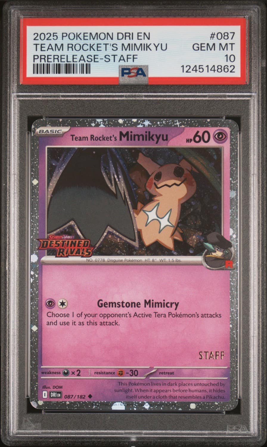 Team Rocket'S Mimikyu