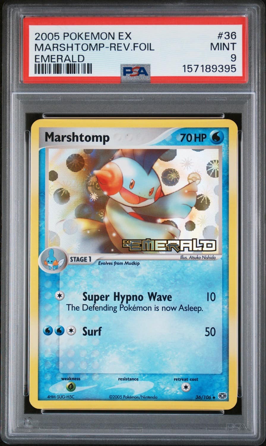 Marshtomp