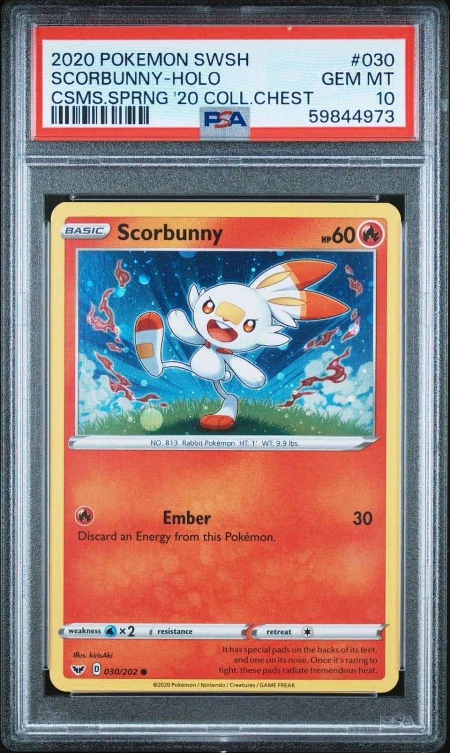 Scorbunny