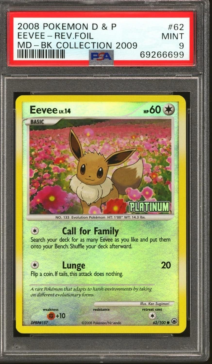 Eevee