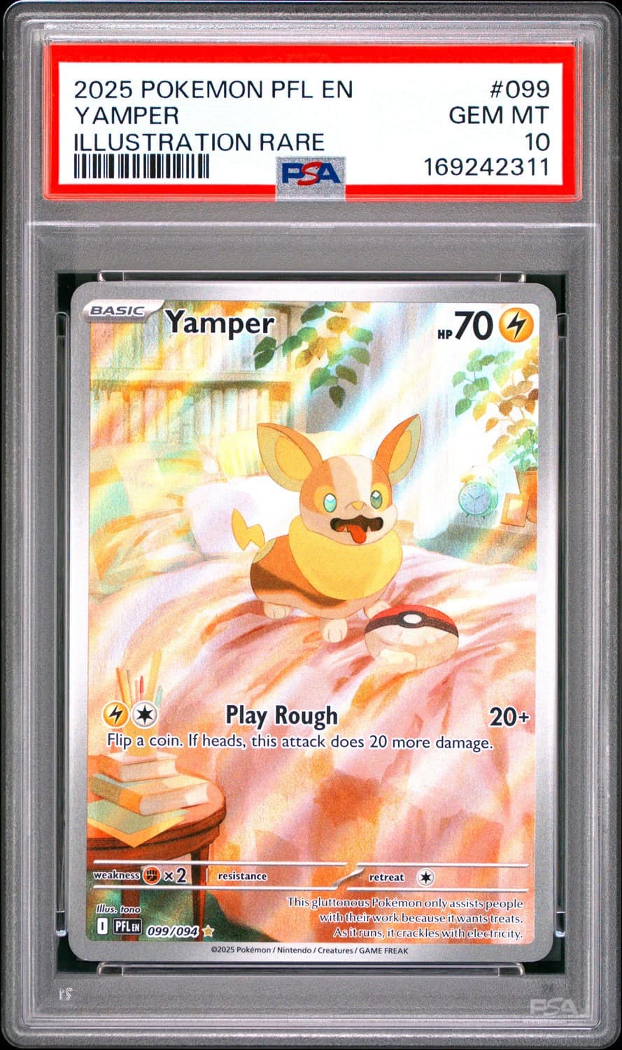 Yamper