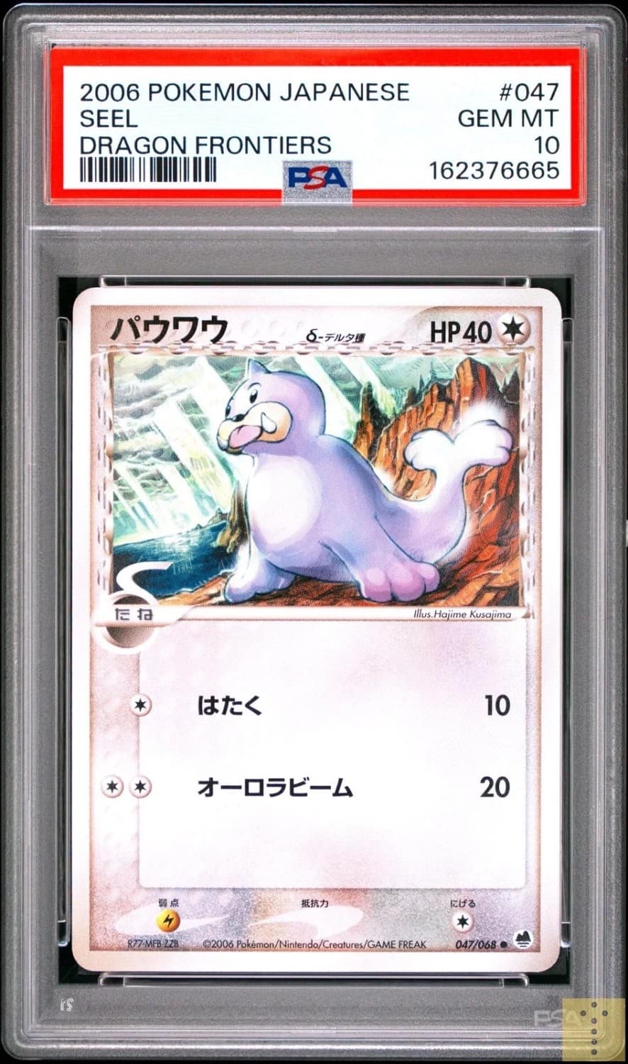 Seel
