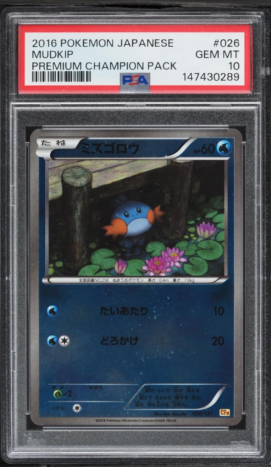 Mudkip