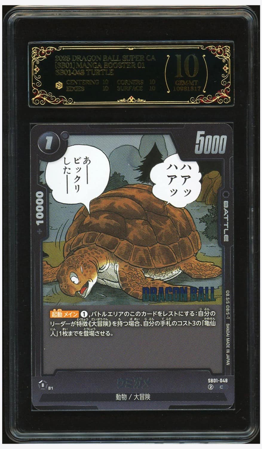 Turtle