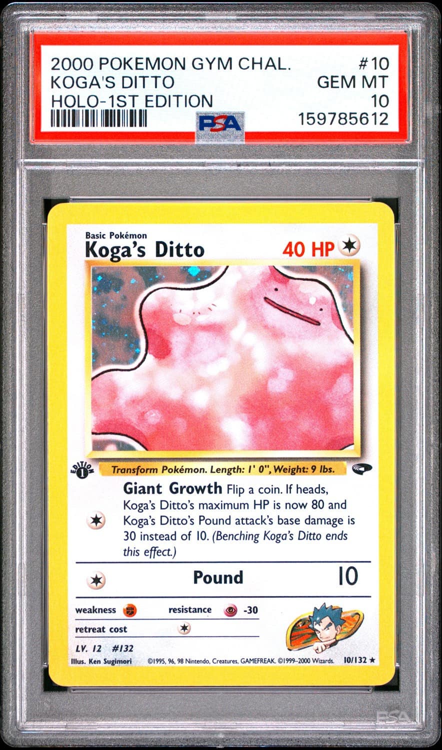 Koga'S Ditto