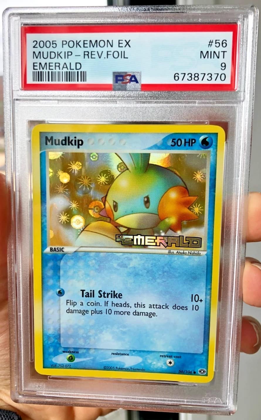 Mudkip