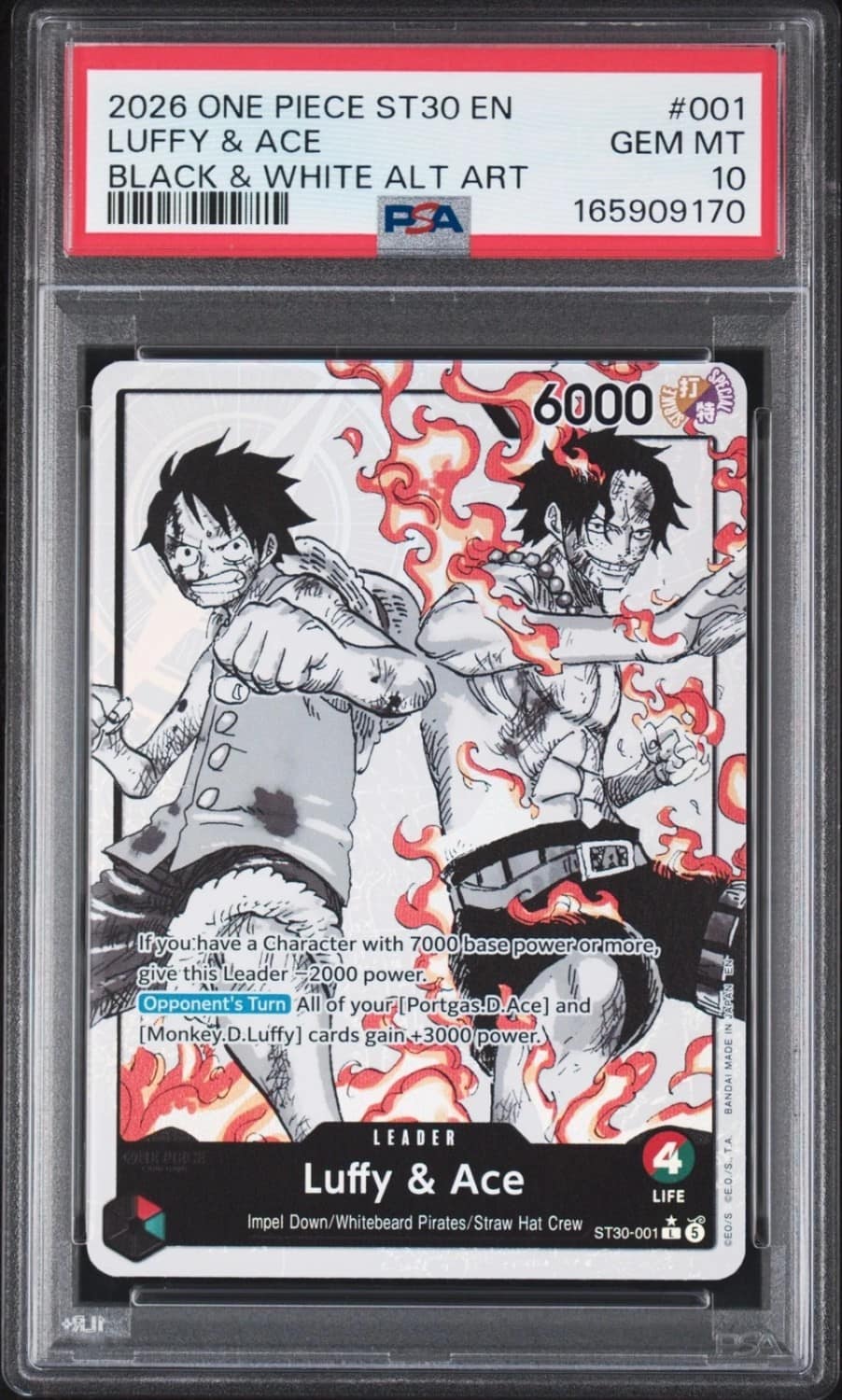 Luffy & Ace
