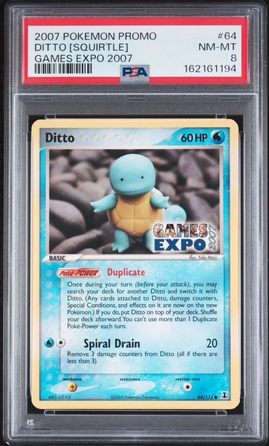 Ditto [squirtle]