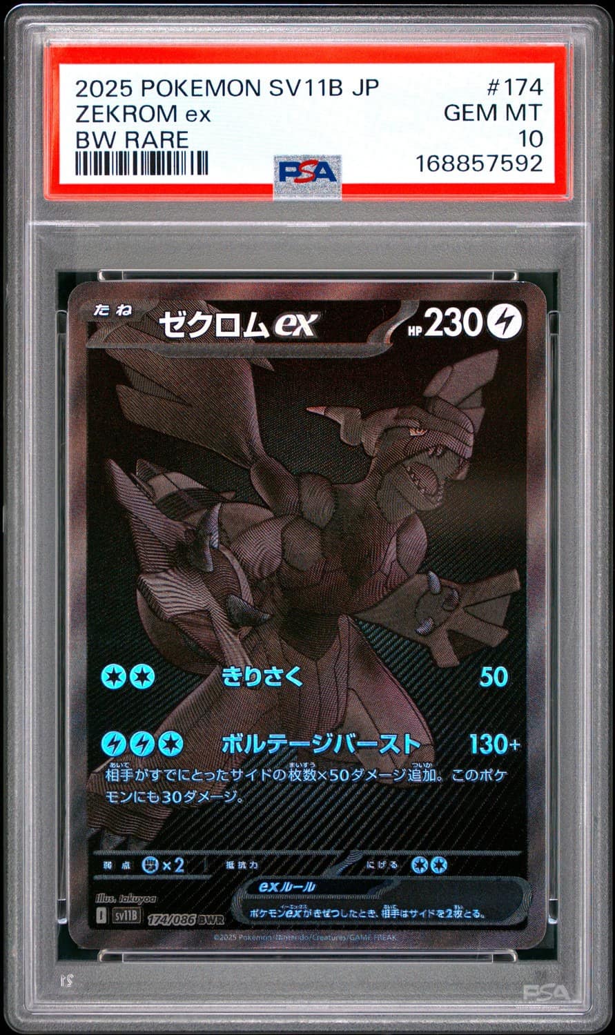 Zekrom Ex