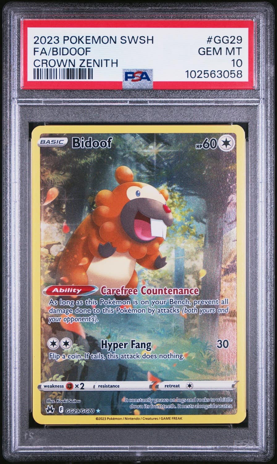 Bidoof