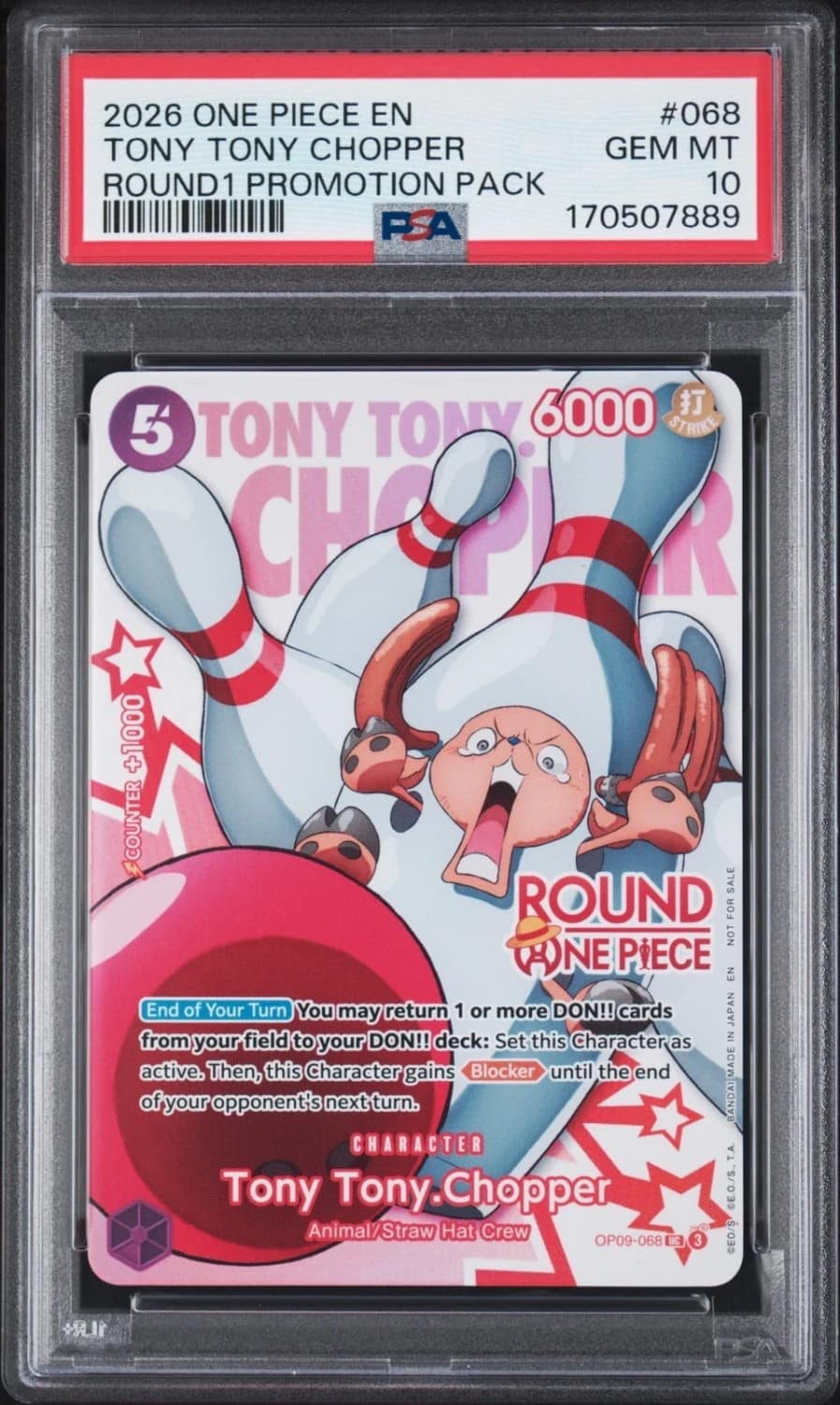 Tony Tony Chopper