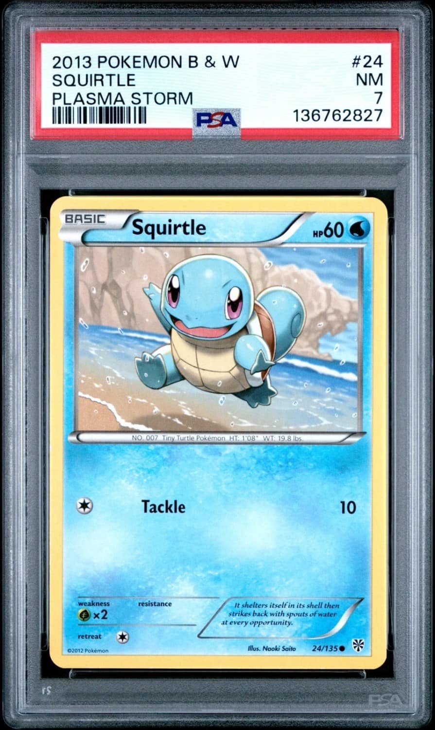 Squirtle