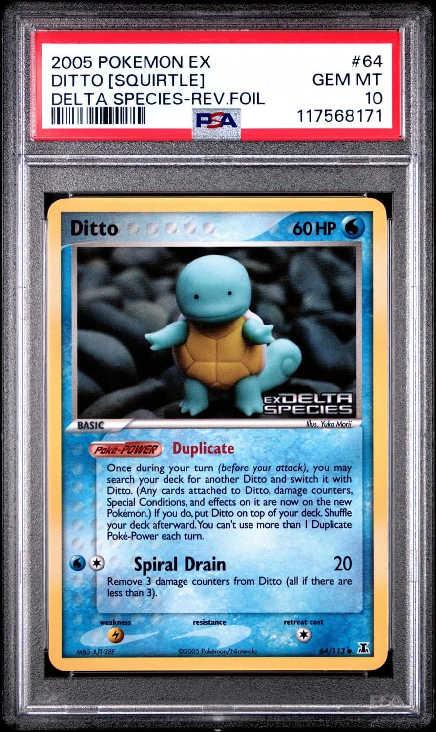 Ditto [squirtle]
