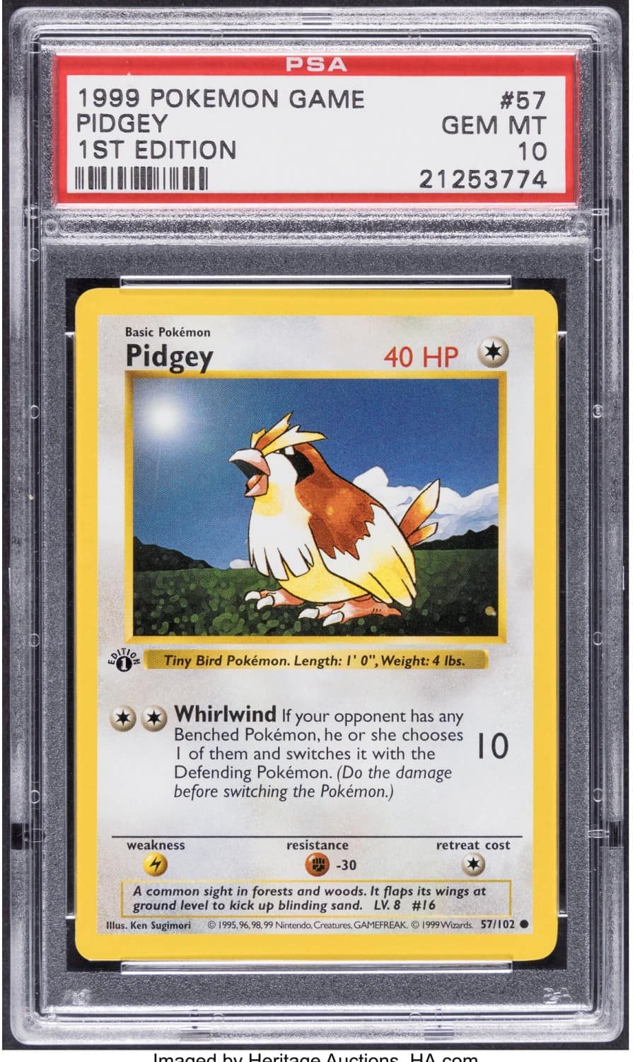 Pidgey