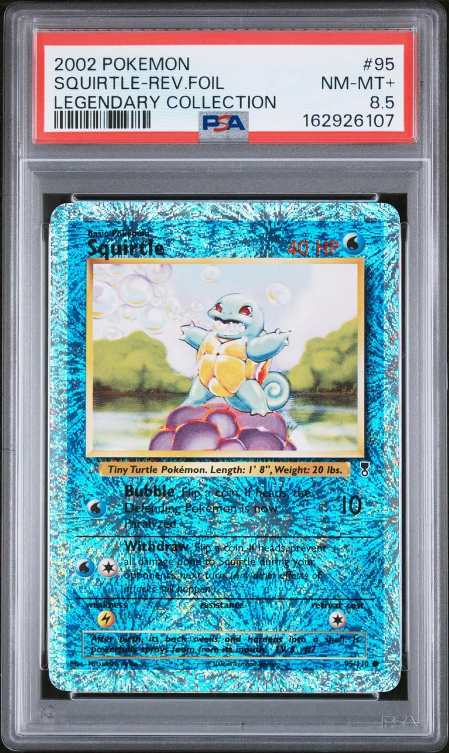 Squirtle