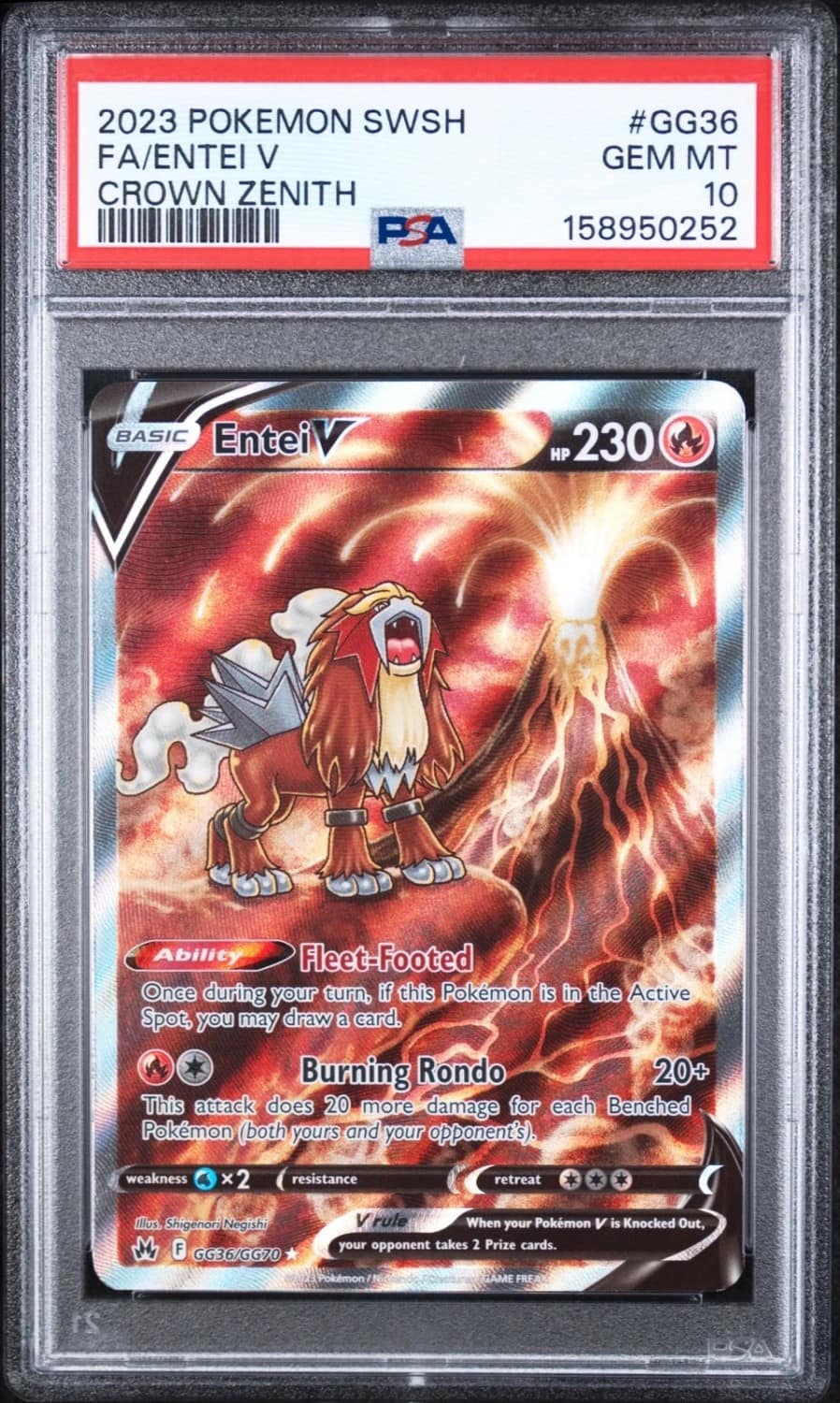 Entei V