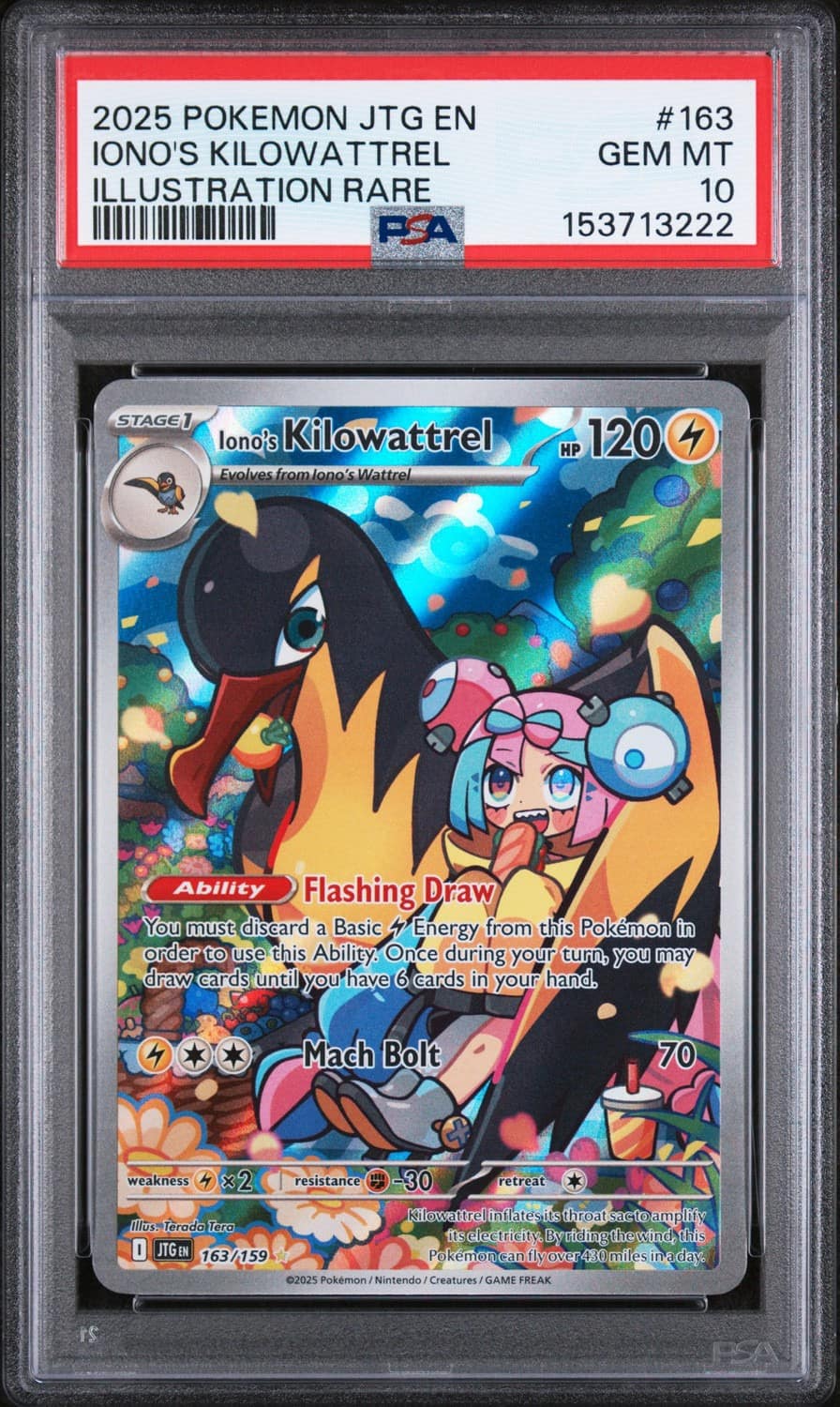 Iono'S Kilowattrel