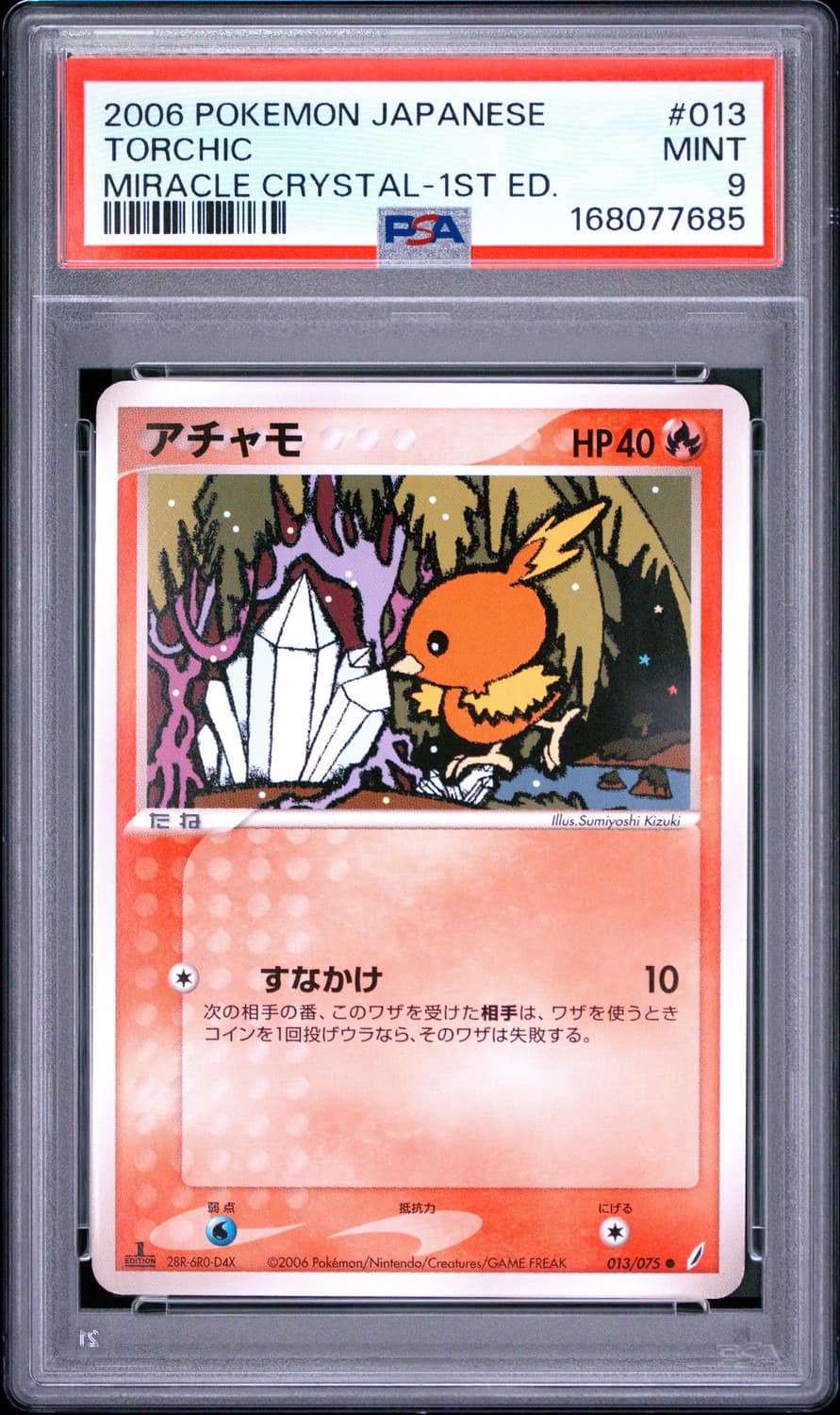 Torchic