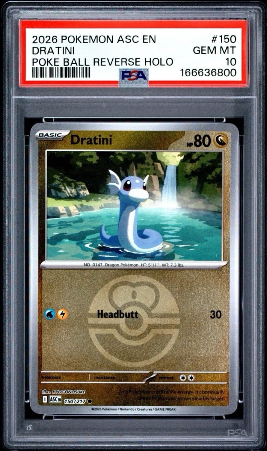 Dratini