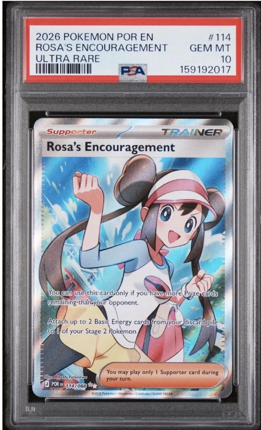 Rosa'S Encouragement