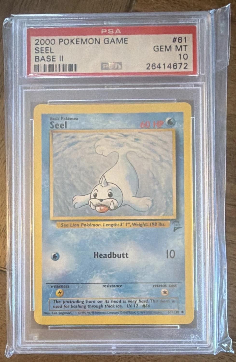 Seel