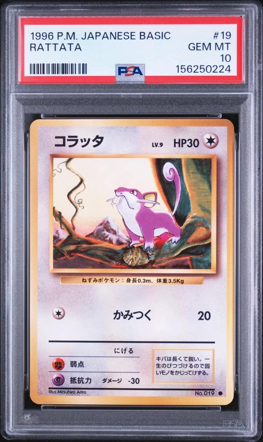 Rattata