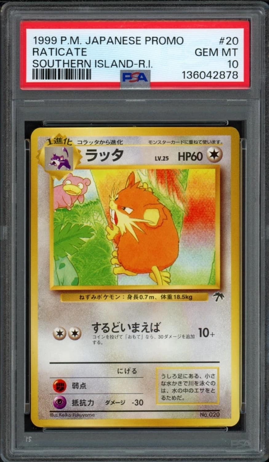 Raticate