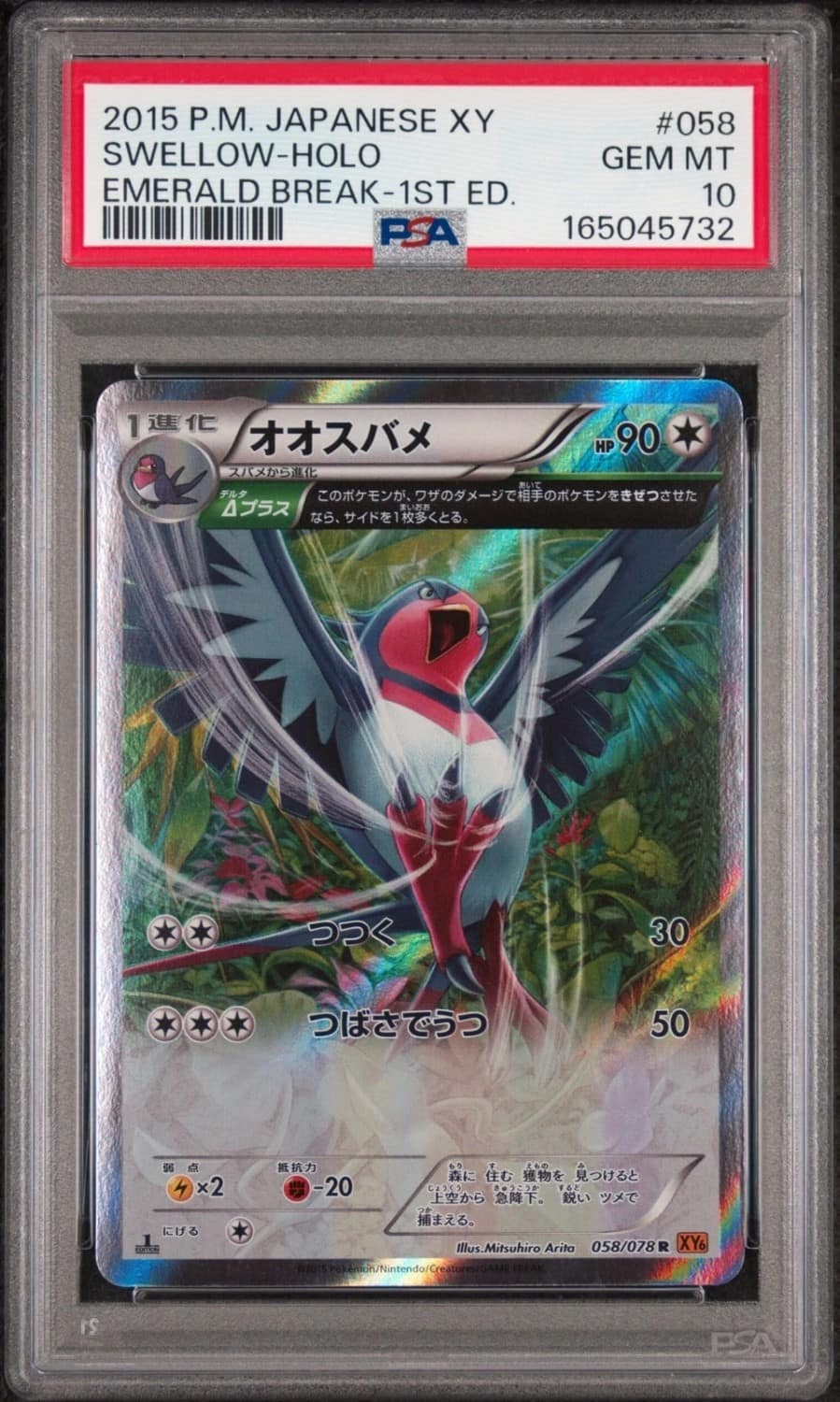 Swellow