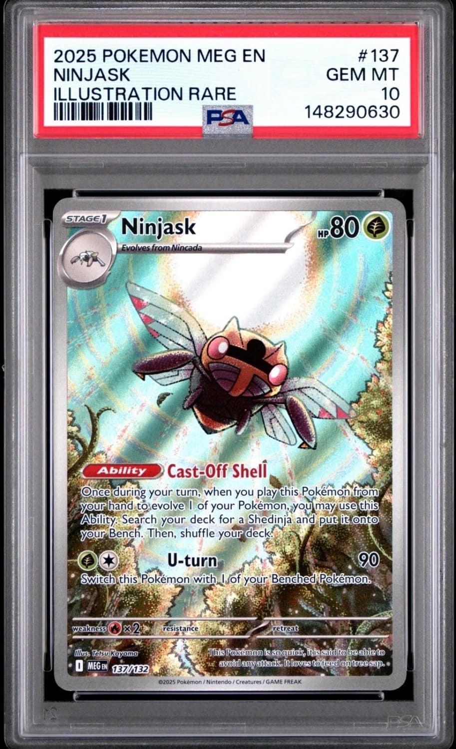 Ninjask