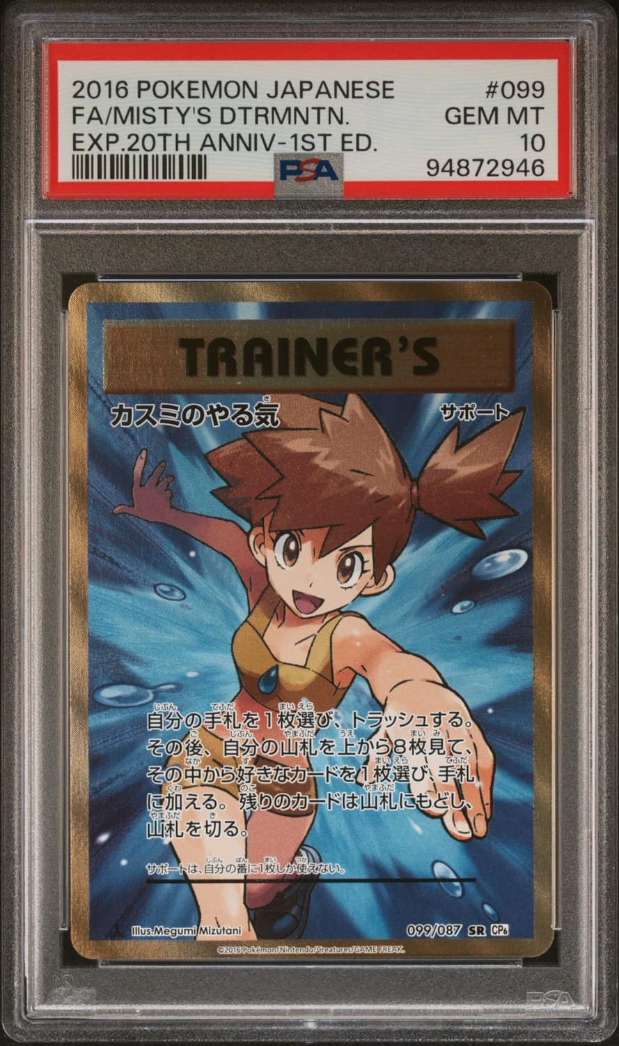 Misty'S Determination