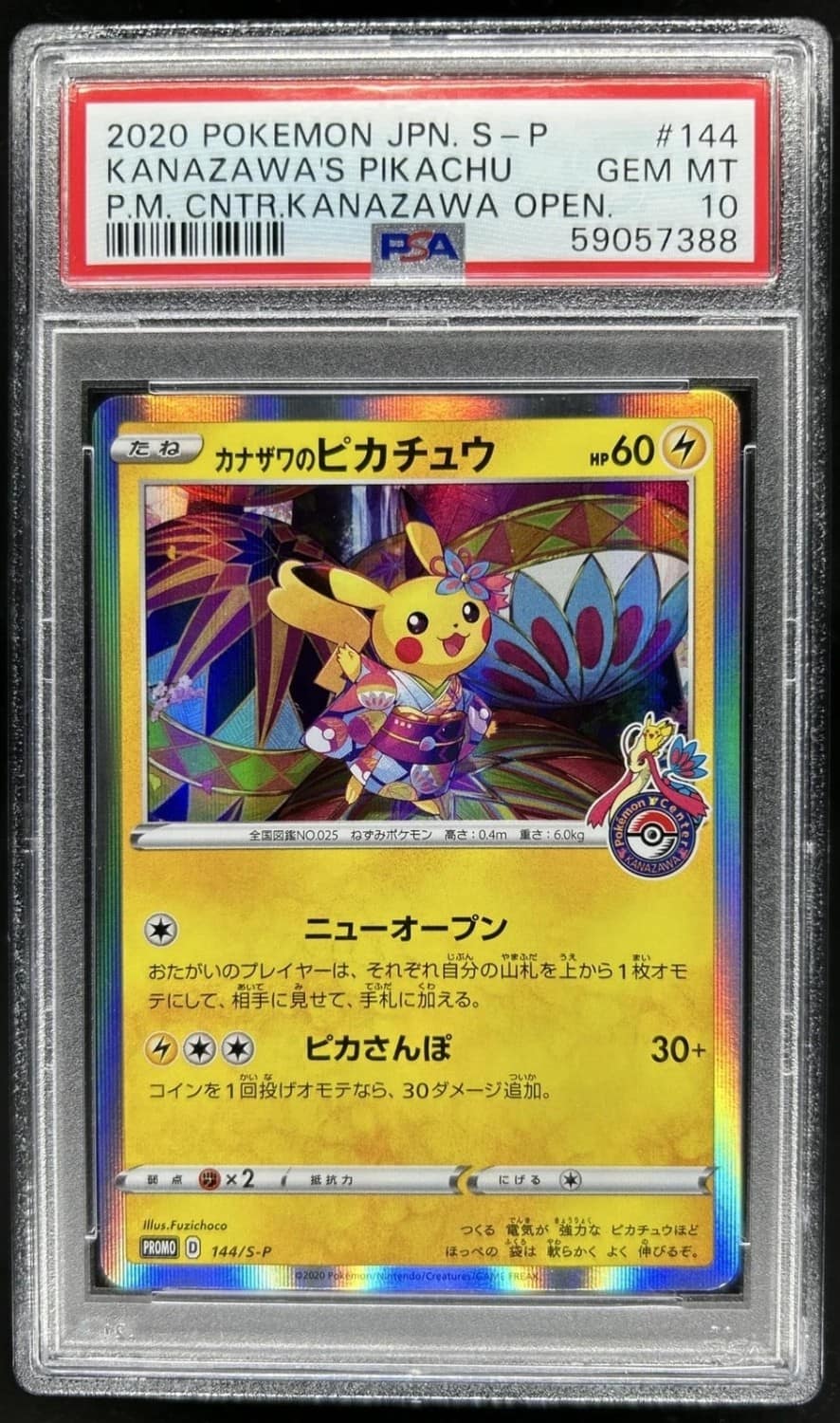 Kanazawa'S Pikachu