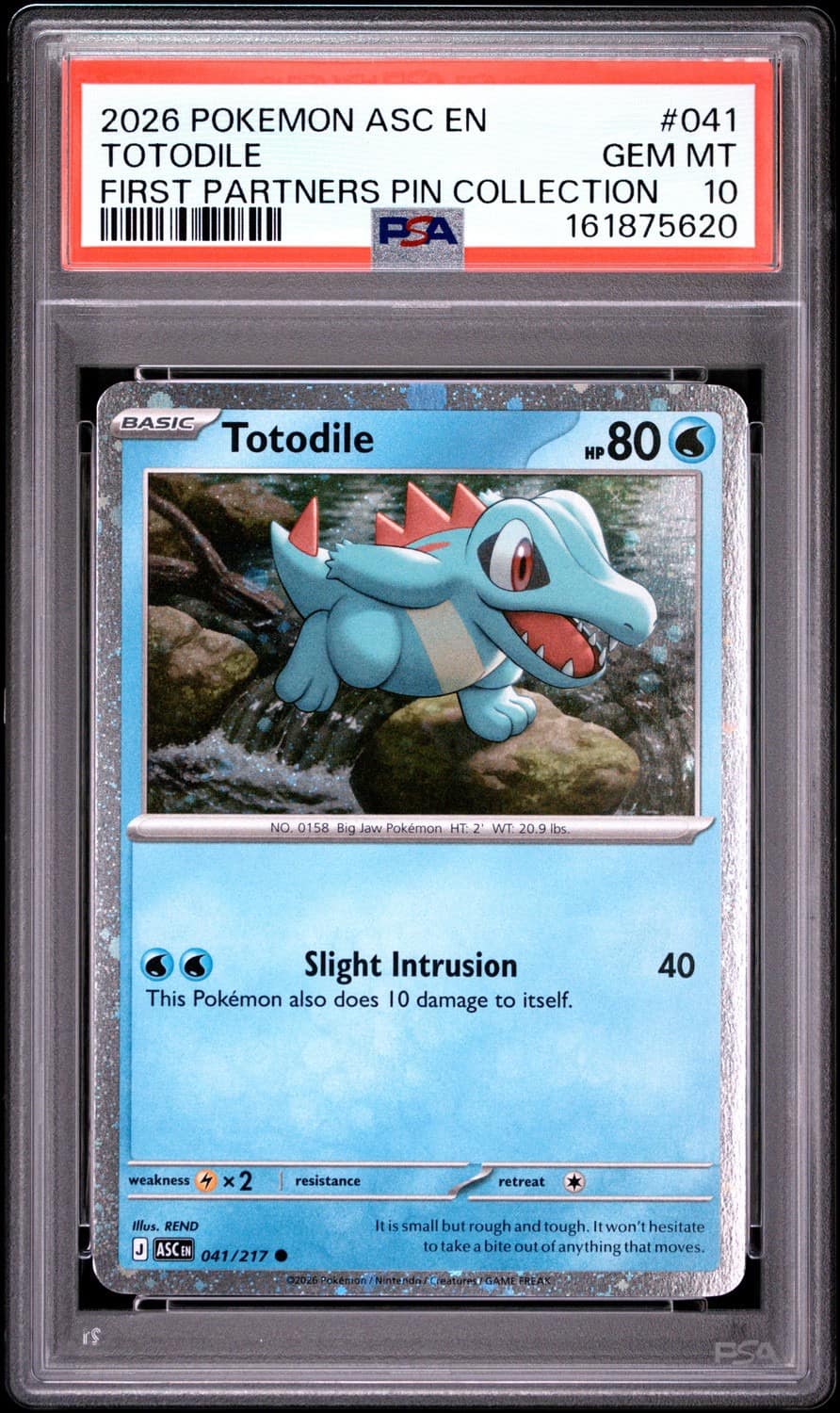 Totodile