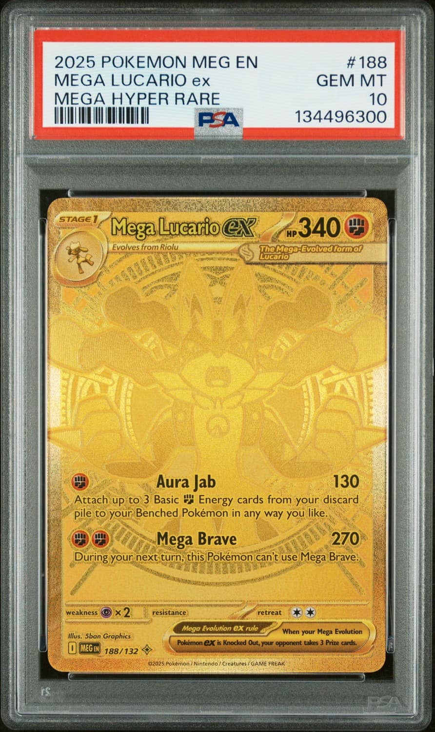 Mega Lucario Ex