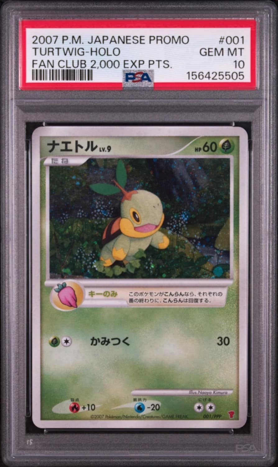 Turtwig